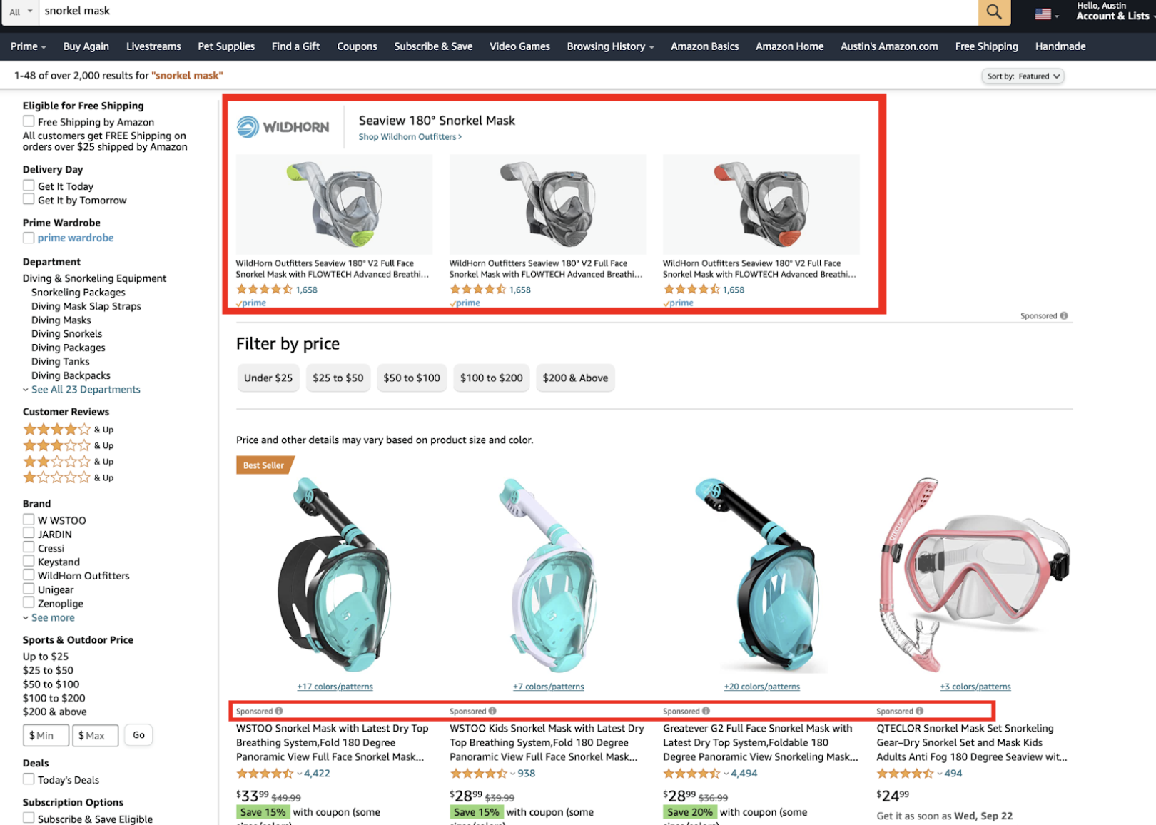 Paid Amazon Ads Example